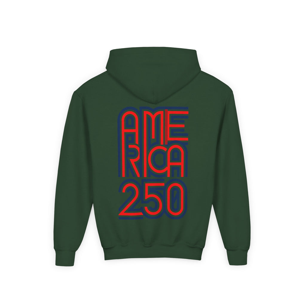 America 250 Hoodie | Patriotic Retro Typography, 250th Anniversary