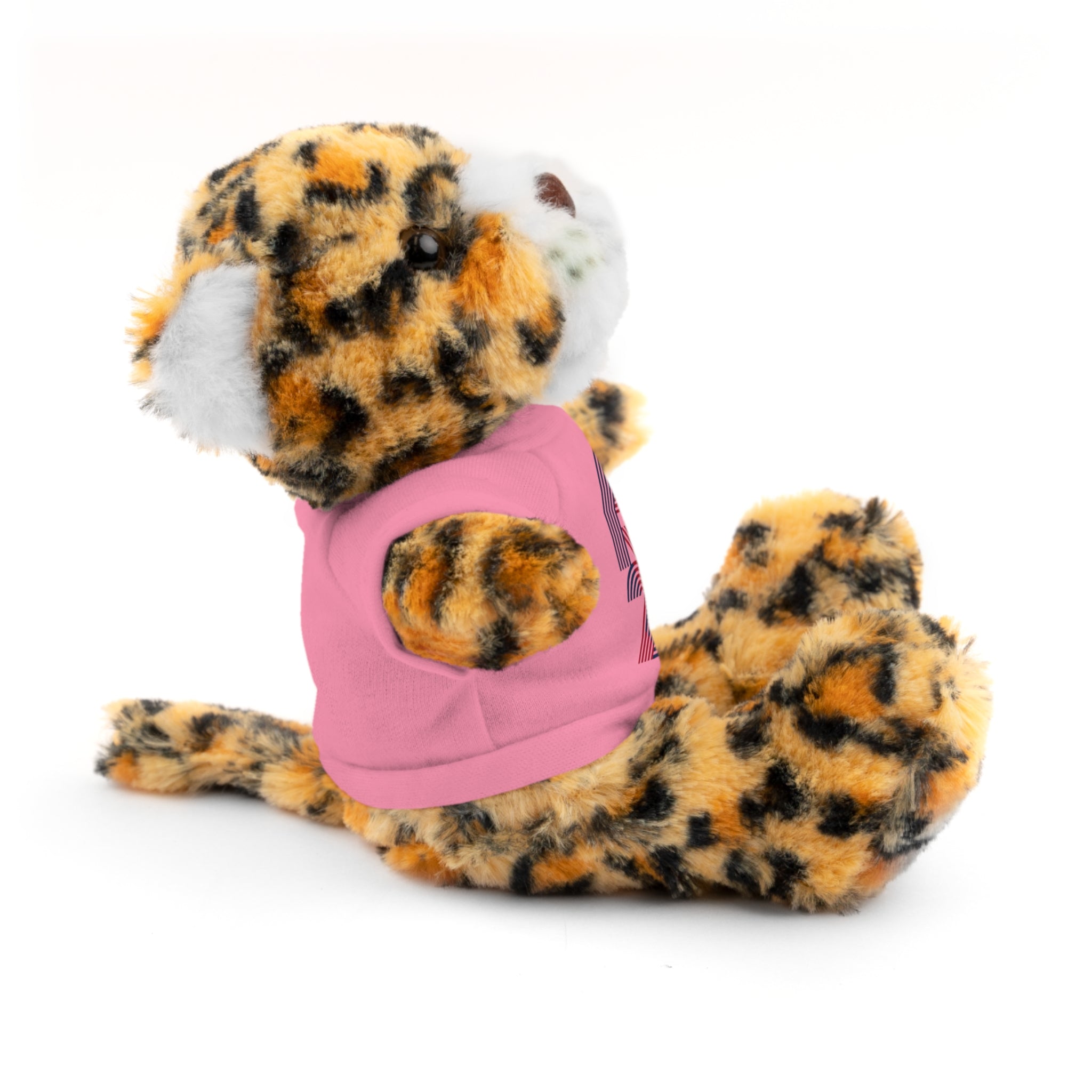 America 250 Teddy Bear plush | Patriotic stuffed animal with tee