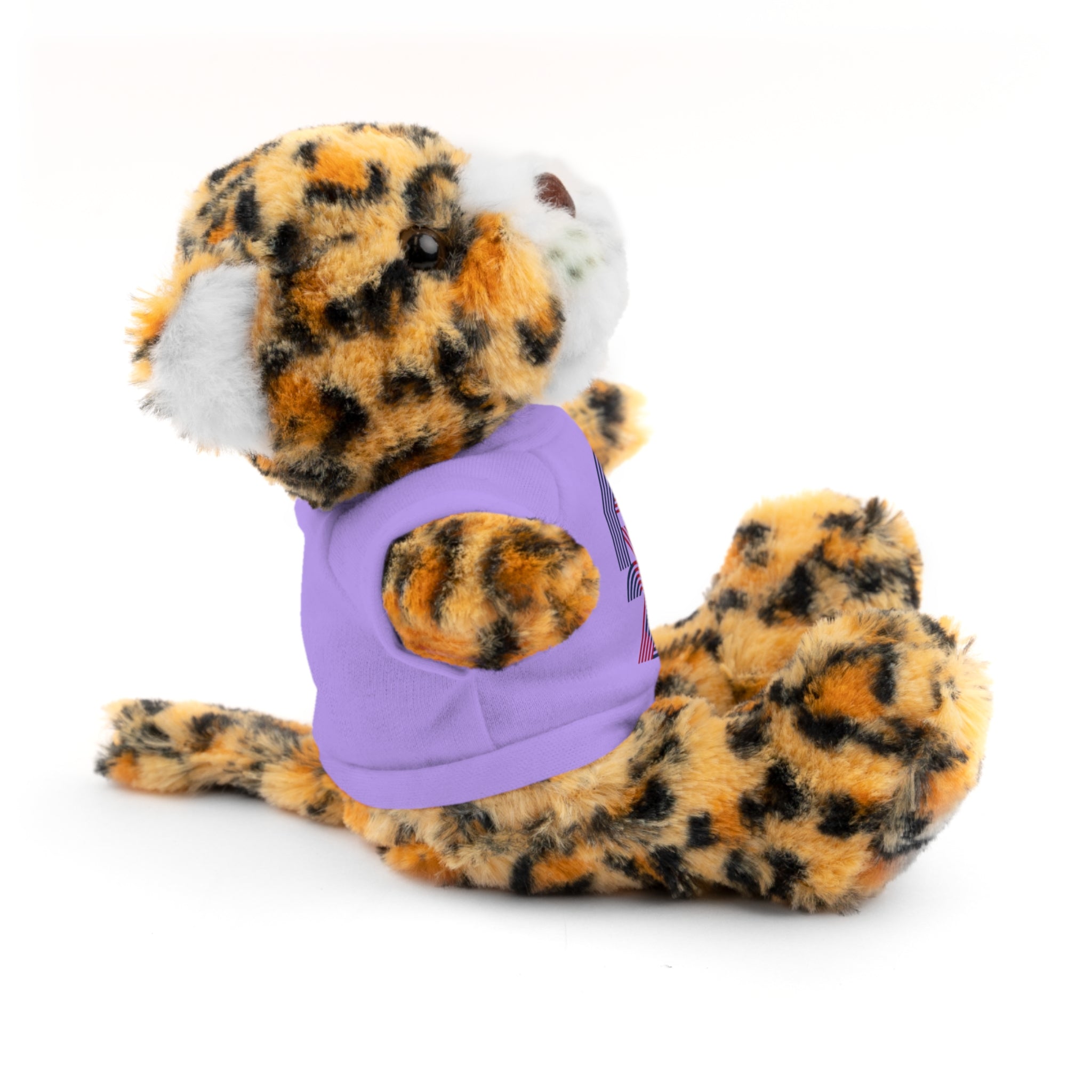 America 250 Teddy Bear plush | Patriotic stuffed animal with tee