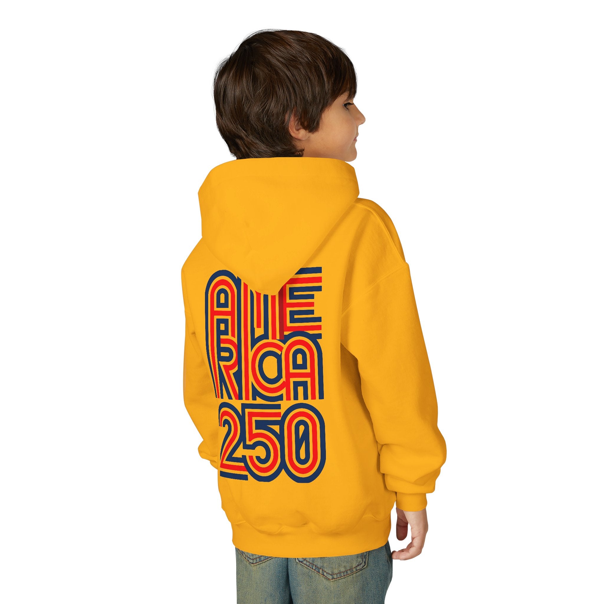 America 250 Hoodie | Patriotic Retro Typography, 250th Anniversary