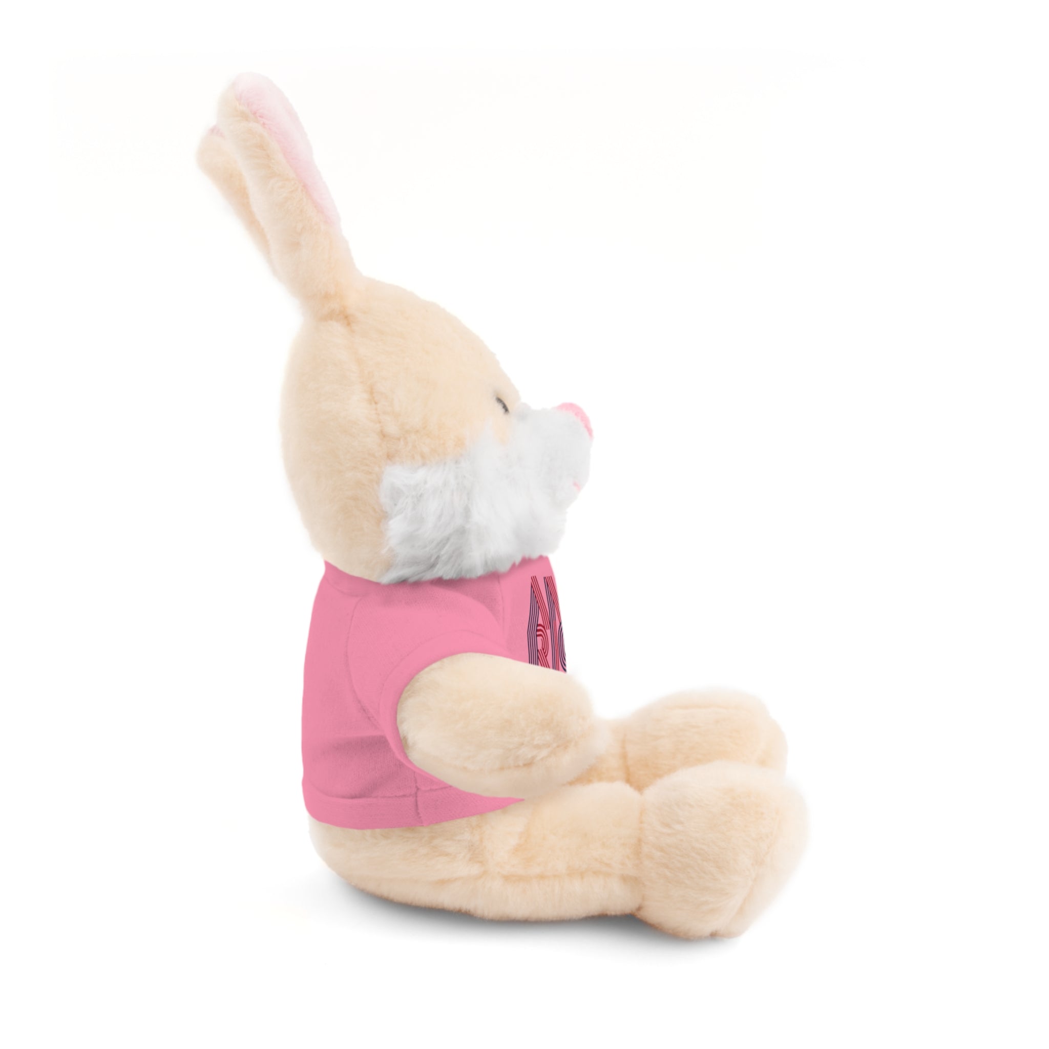 America 250 Teddy Bear plush | Patriotic stuffed animal with tee