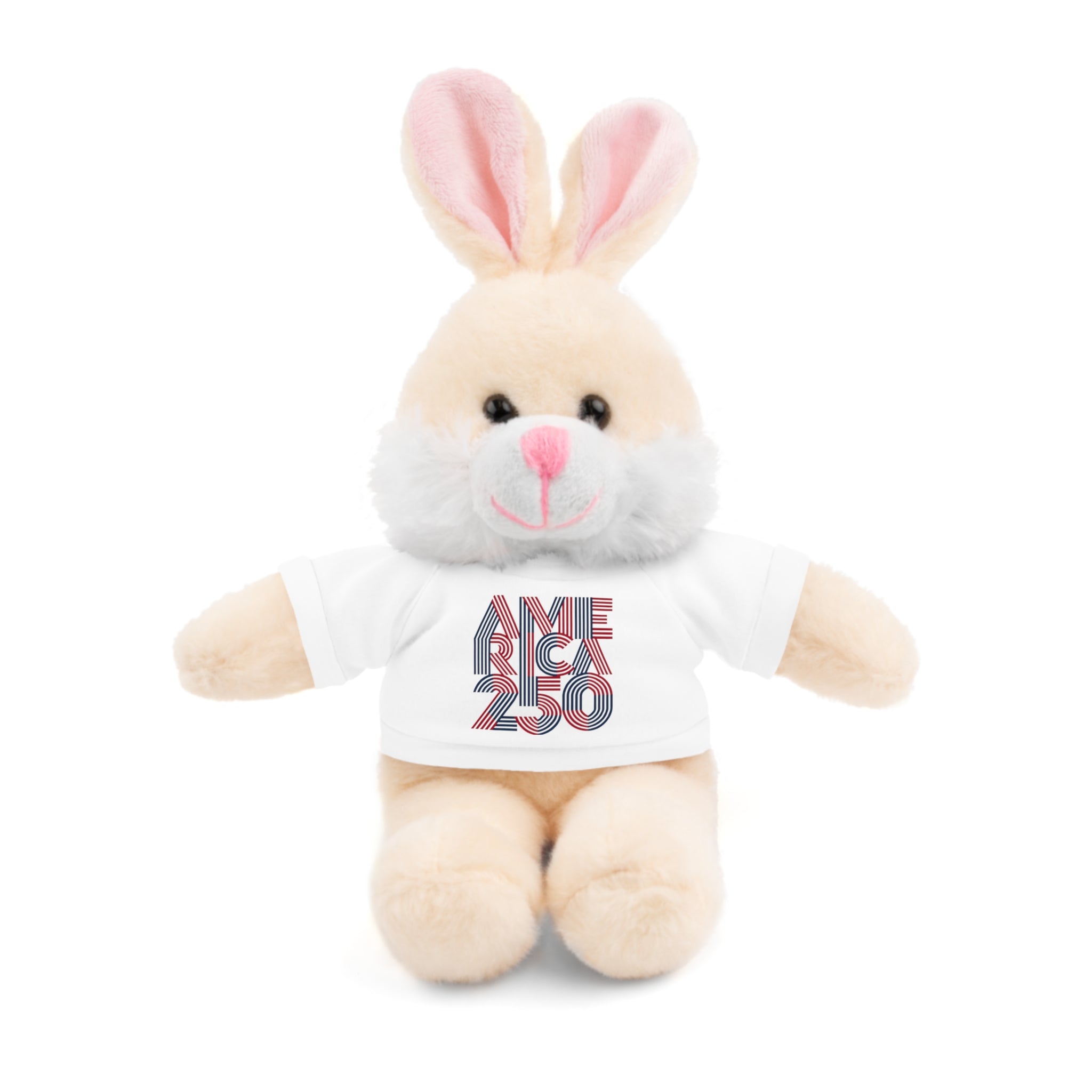 America 250 Teddy Bear plush | Patriotic stuffed animal with tee