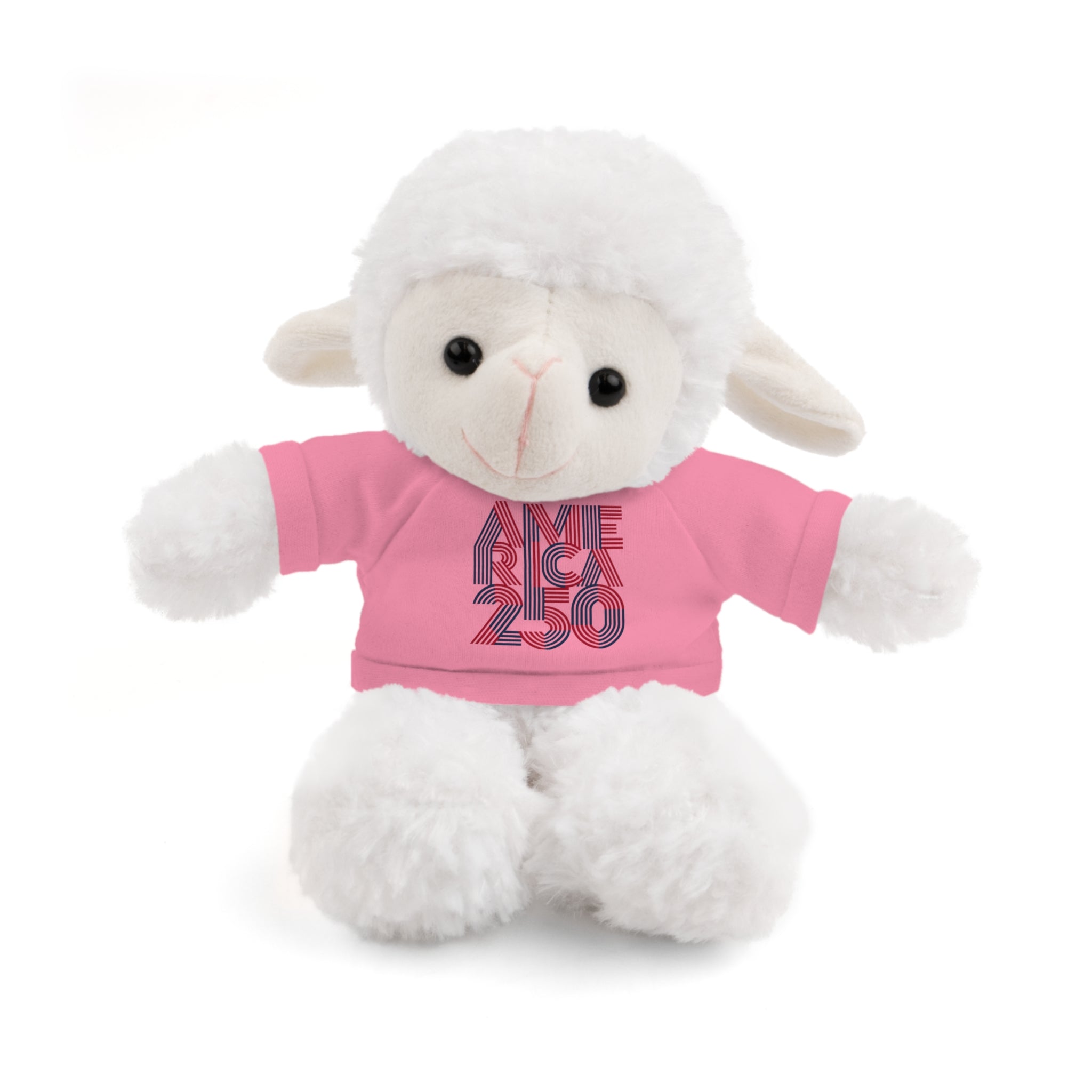 America 250 Teddy Bear plush | Patriotic stuffed animal with tee