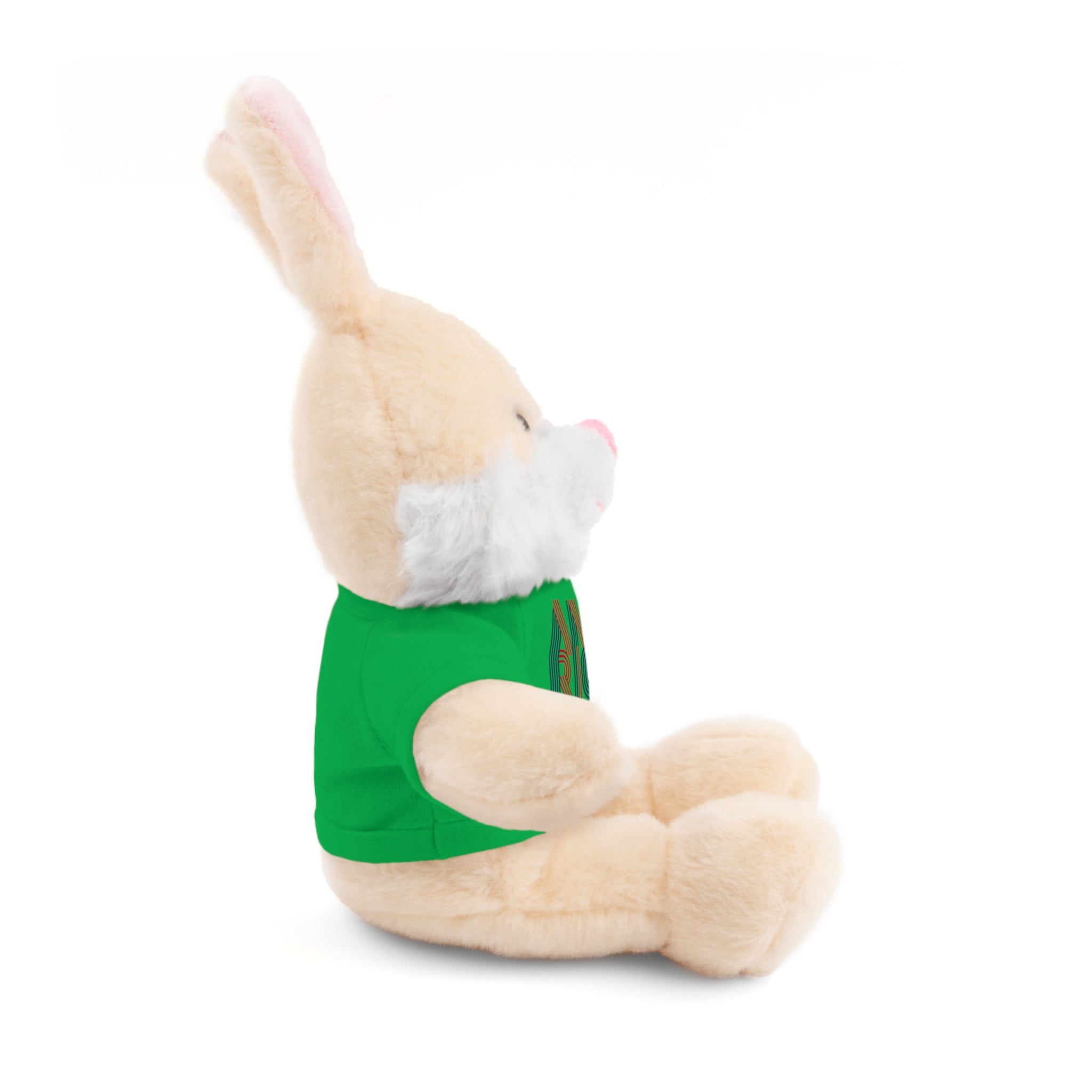 America 250 Teddy Bear plush | Patriotic stuffed animal with tee