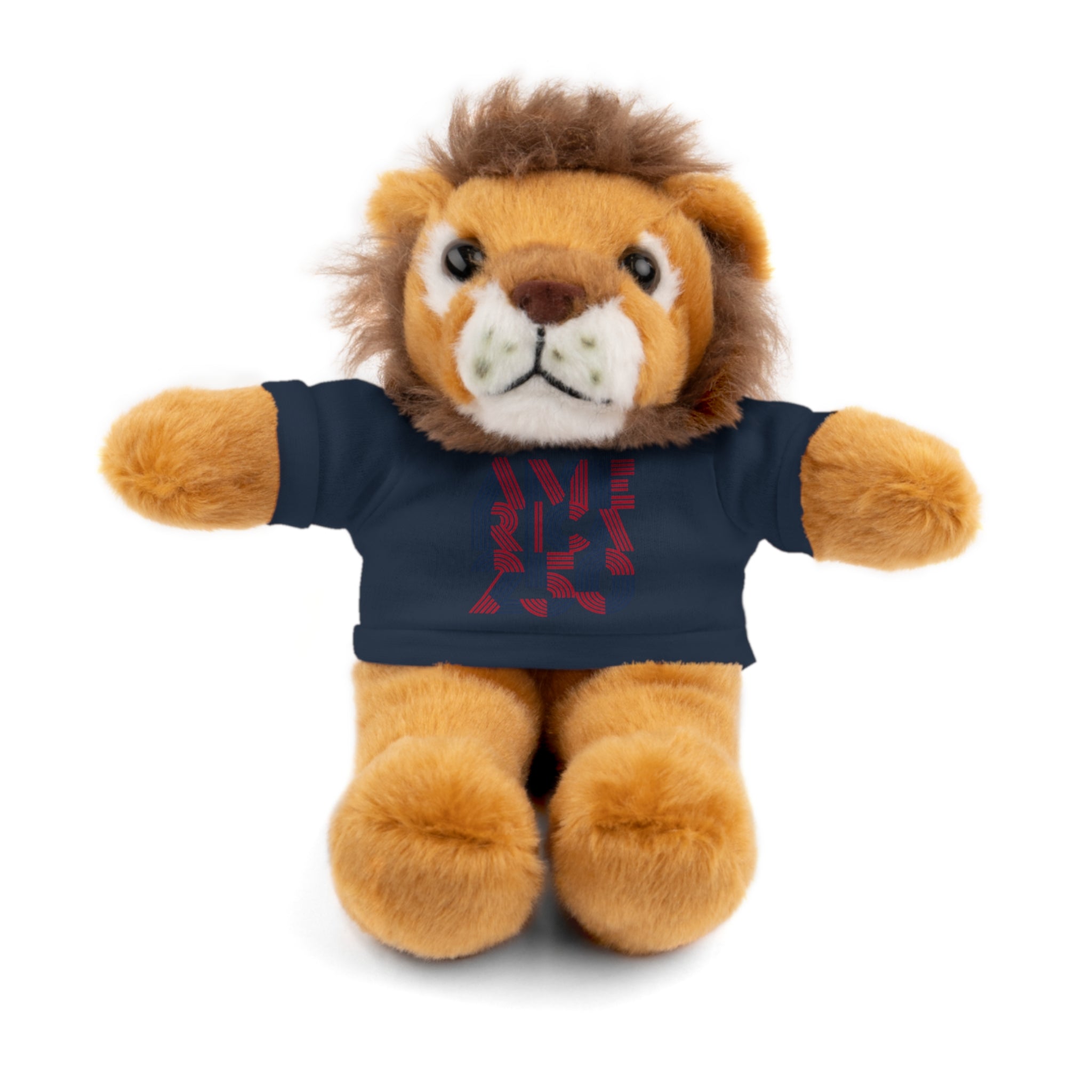 America 250 Teddy Bear plush | Patriotic stuffed animal with tee