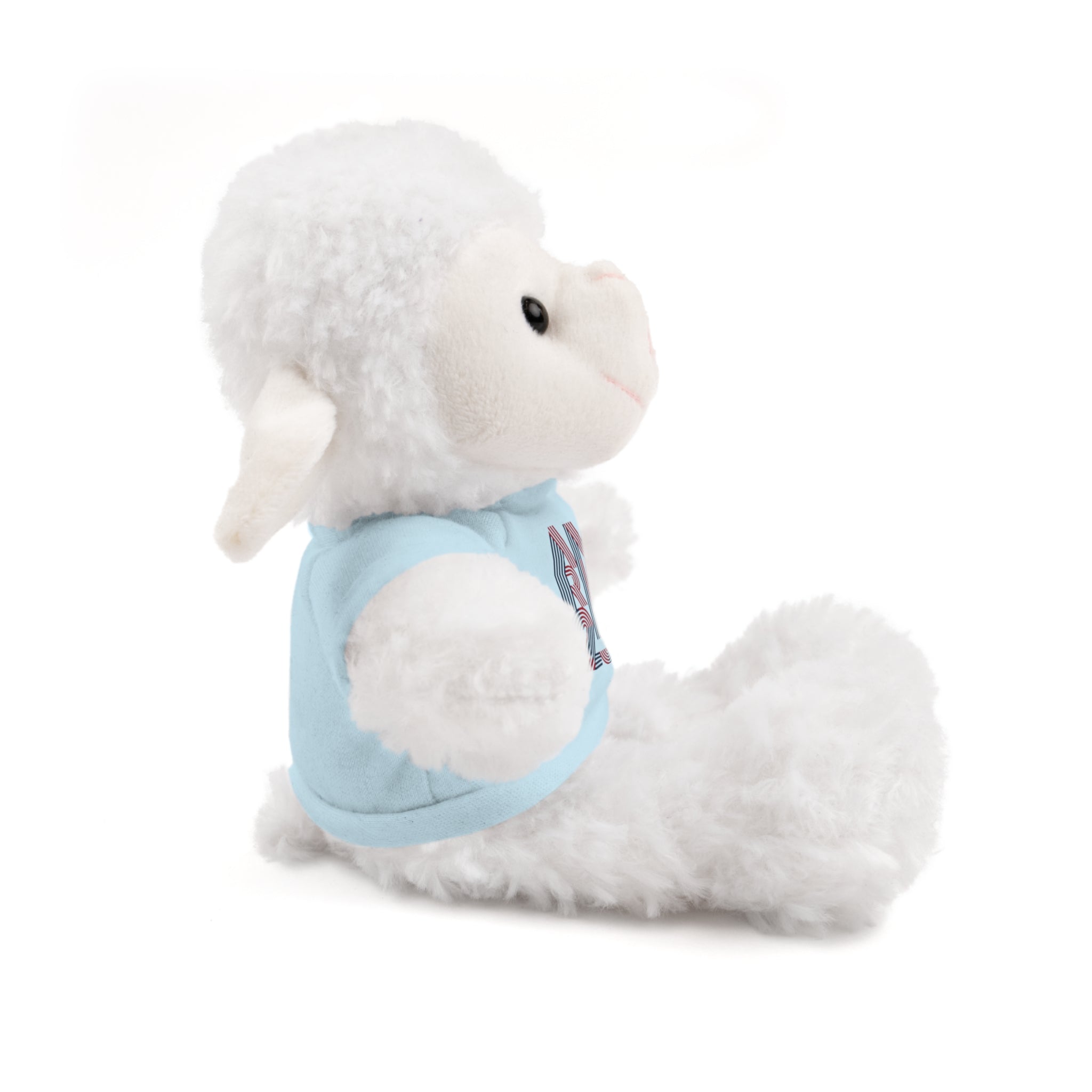 America 250 Teddy Bear plush | Patriotic stuffed animal with tee