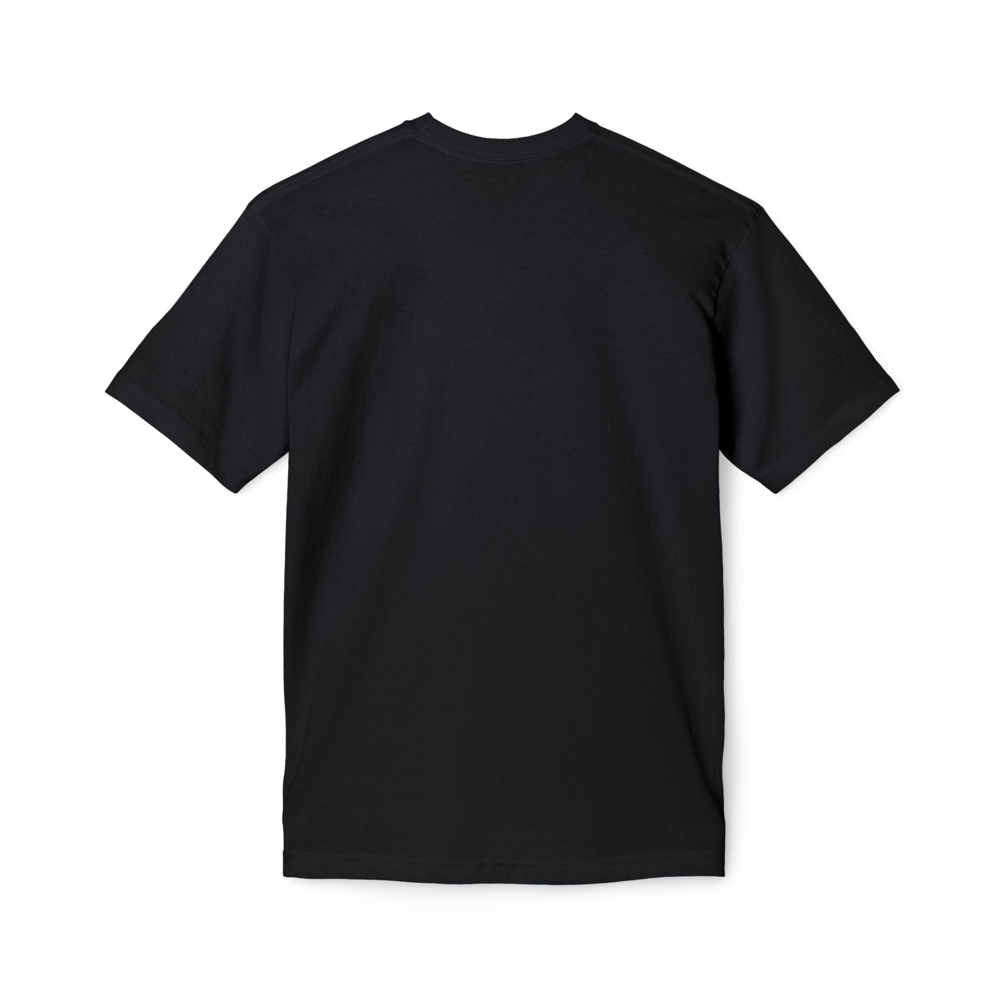 Ridiculous Egyptian Pharaohs T-Shirt — Humorous Ancient Egypt Graphic Tee