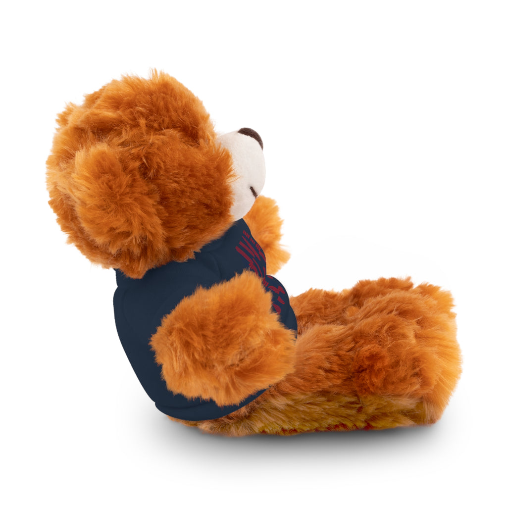 America 250 Teddy Bear plush | Patriotic stuffed animal with tee