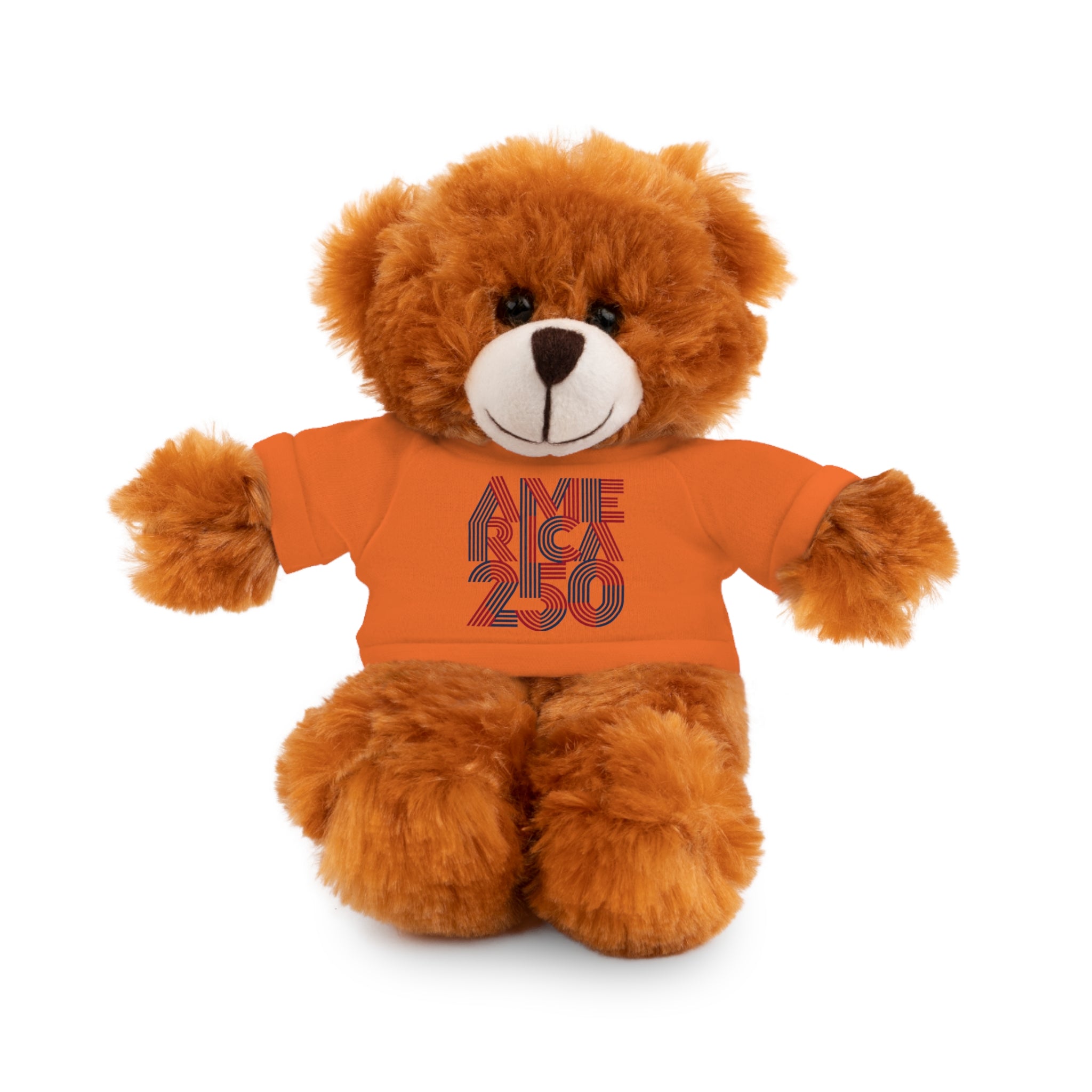 America 250 Teddy Bear plush | Patriotic stuffed animal with tee