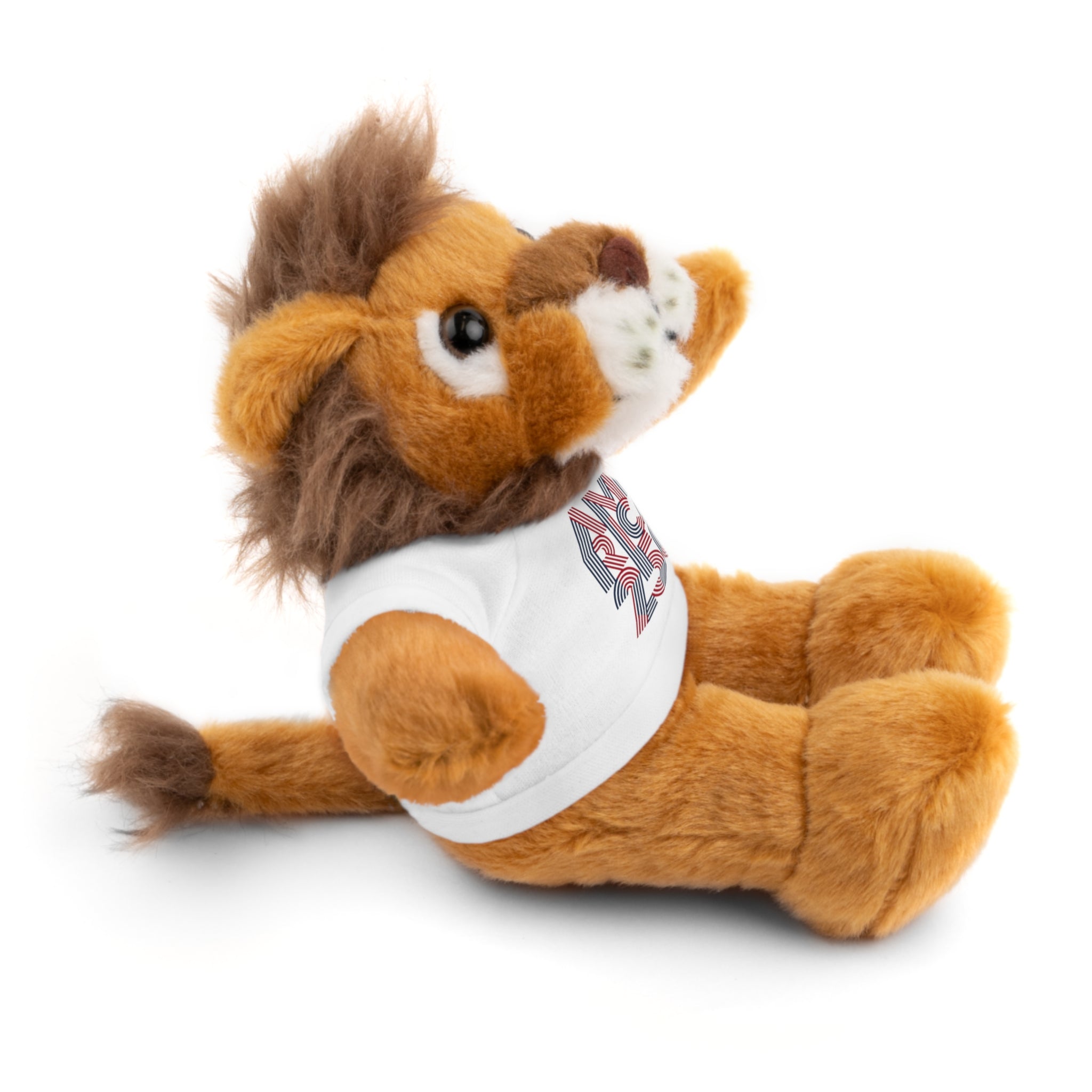 America 250 Teddy Bear plush | Patriotic stuffed animal with tee