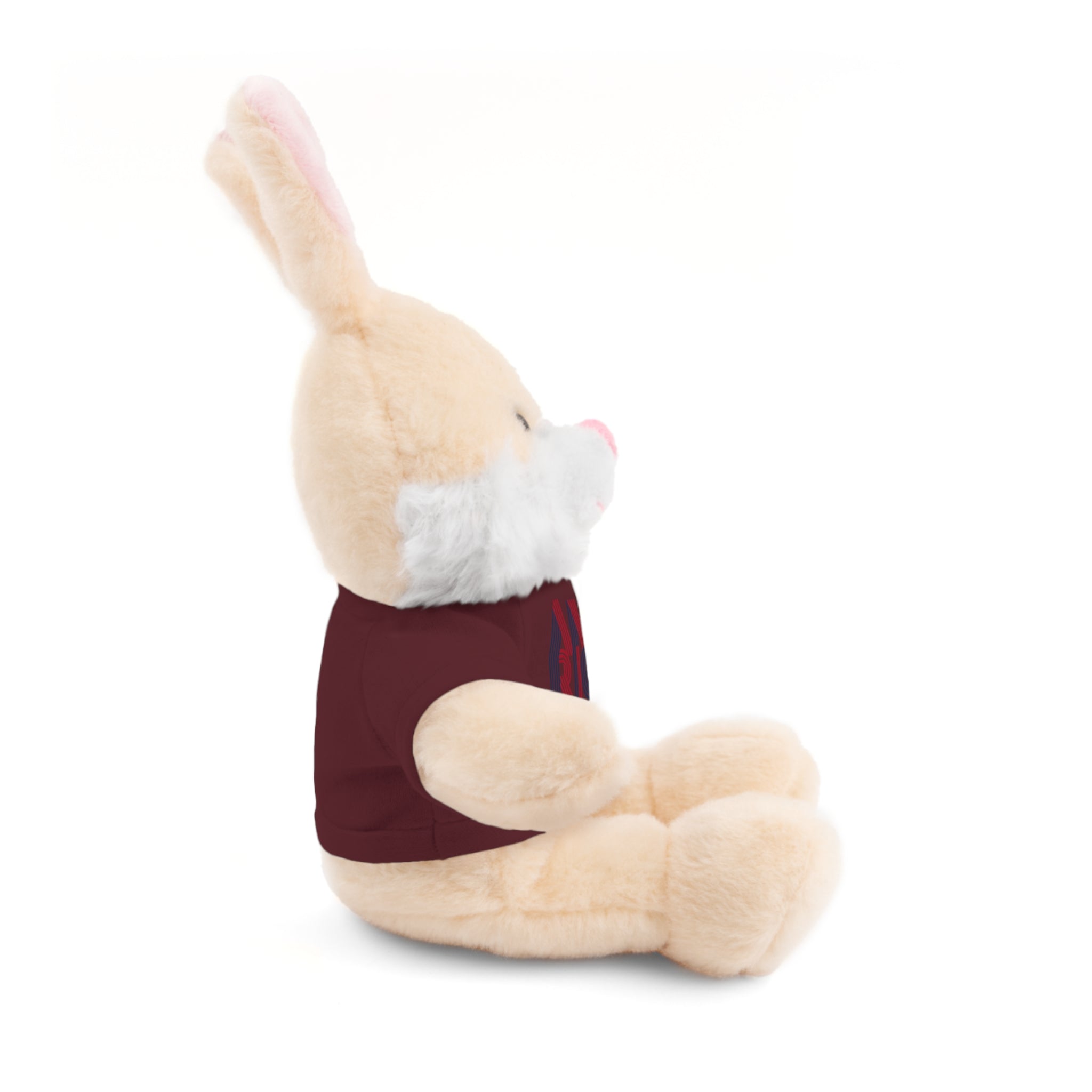 America 250 Teddy Bear plush | Patriotic stuffed animal with tee