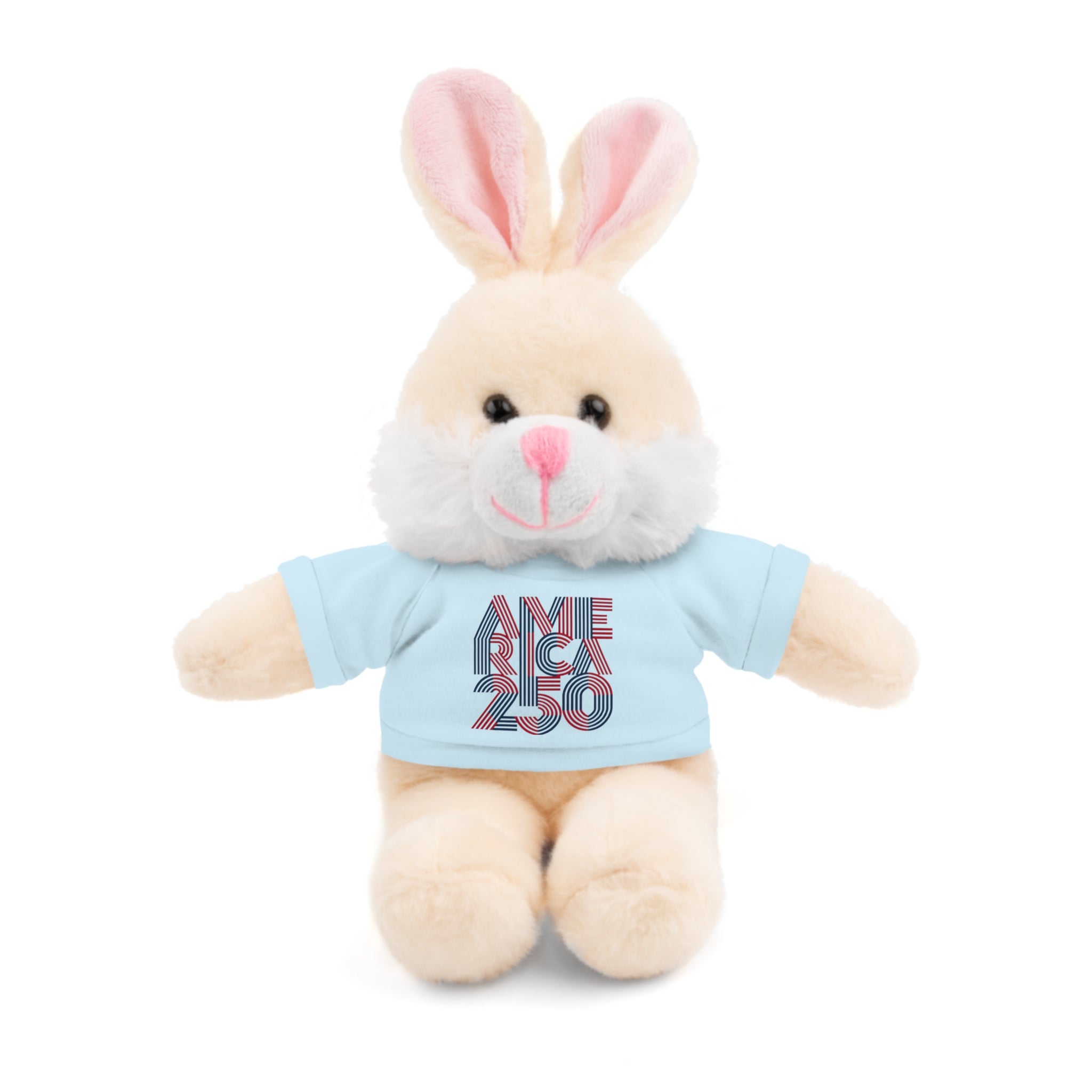 America 250 Teddy Bear plush | Patriotic stuffed animal with tee