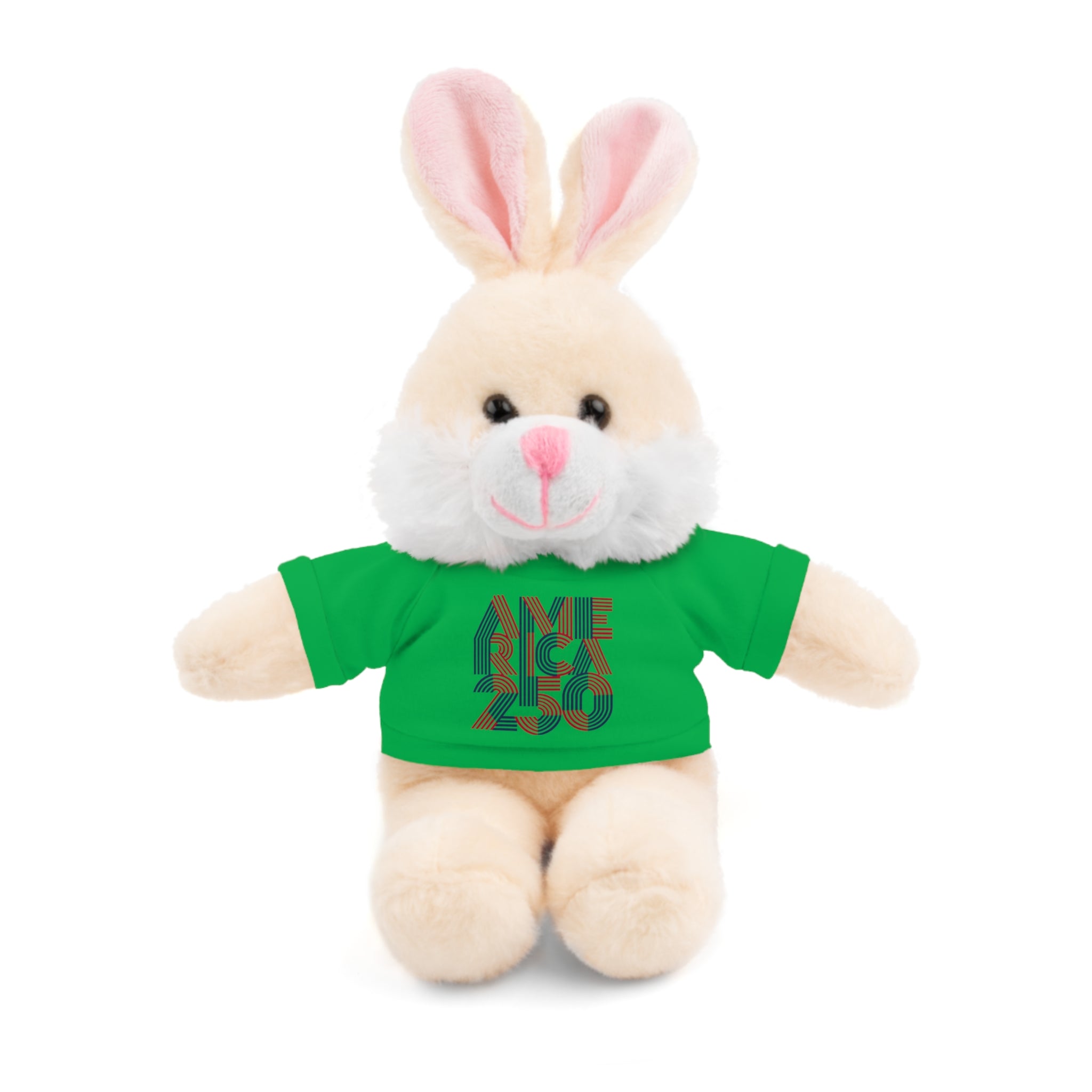 America 250 Teddy Bear plush | Patriotic stuffed animal with tee