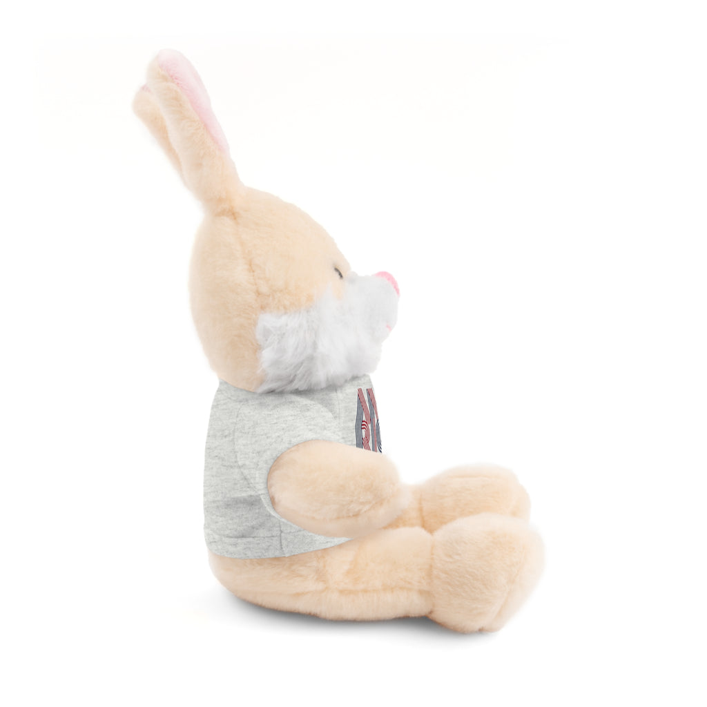 America 250 Teddy Bear plush | Patriotic stuffed animal with tee