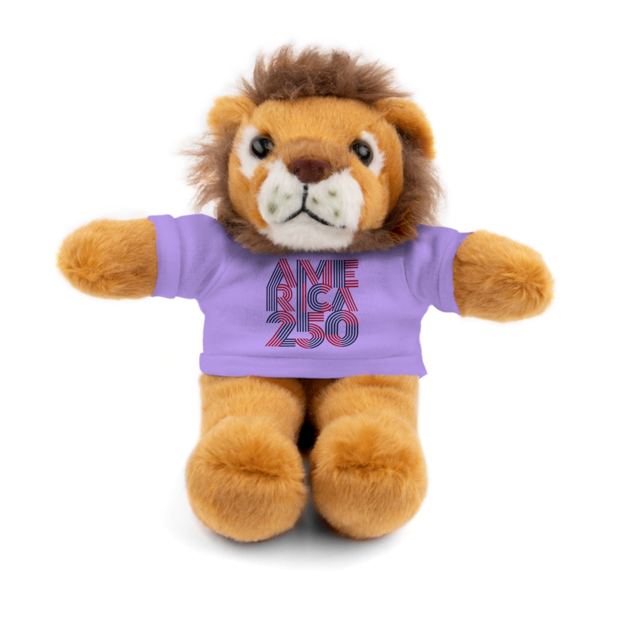 America 250 Teddy Bear plush | Patriotic stuffed animal with tee