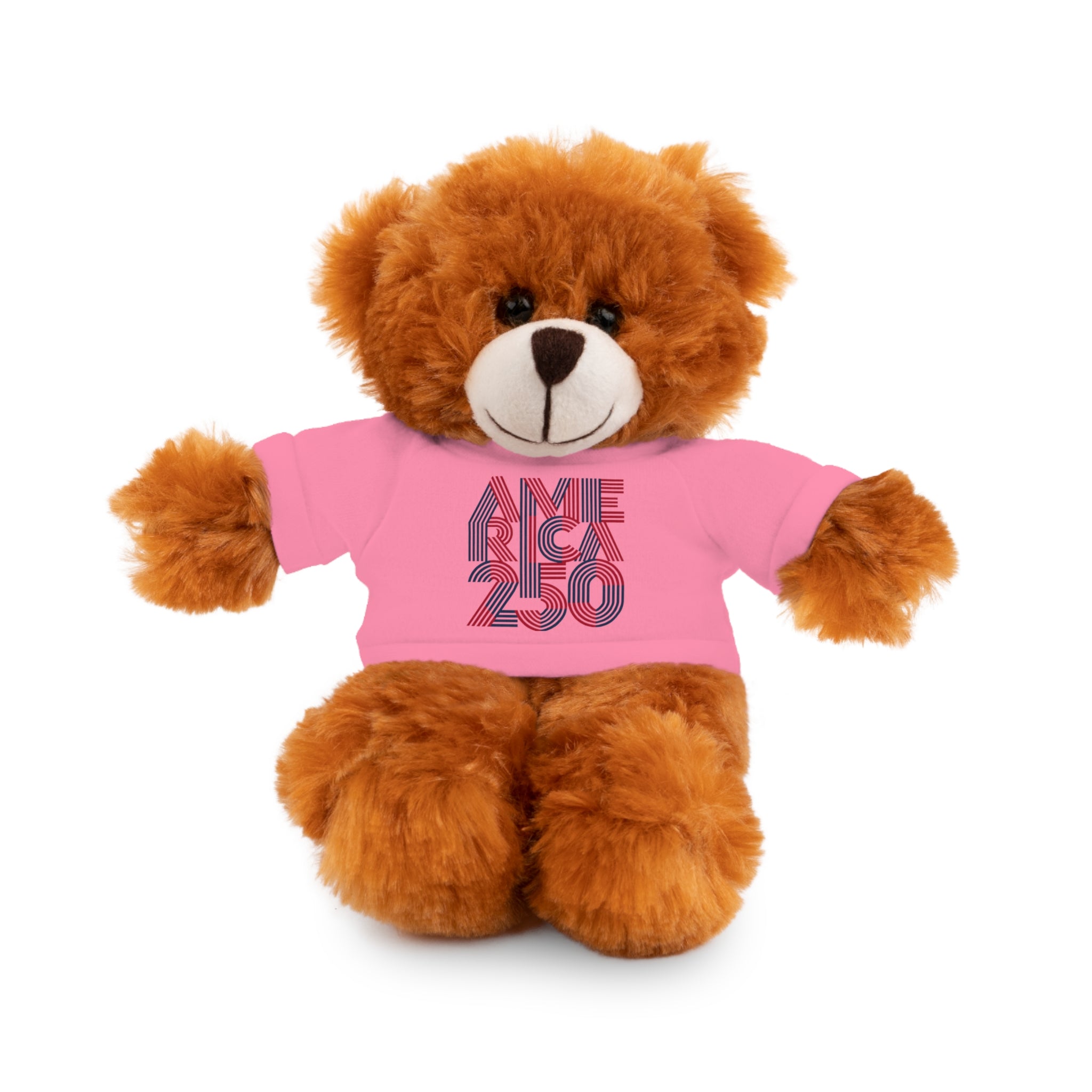 America 250 Teddy Bear plush | Patriotic stuffed animal with tee