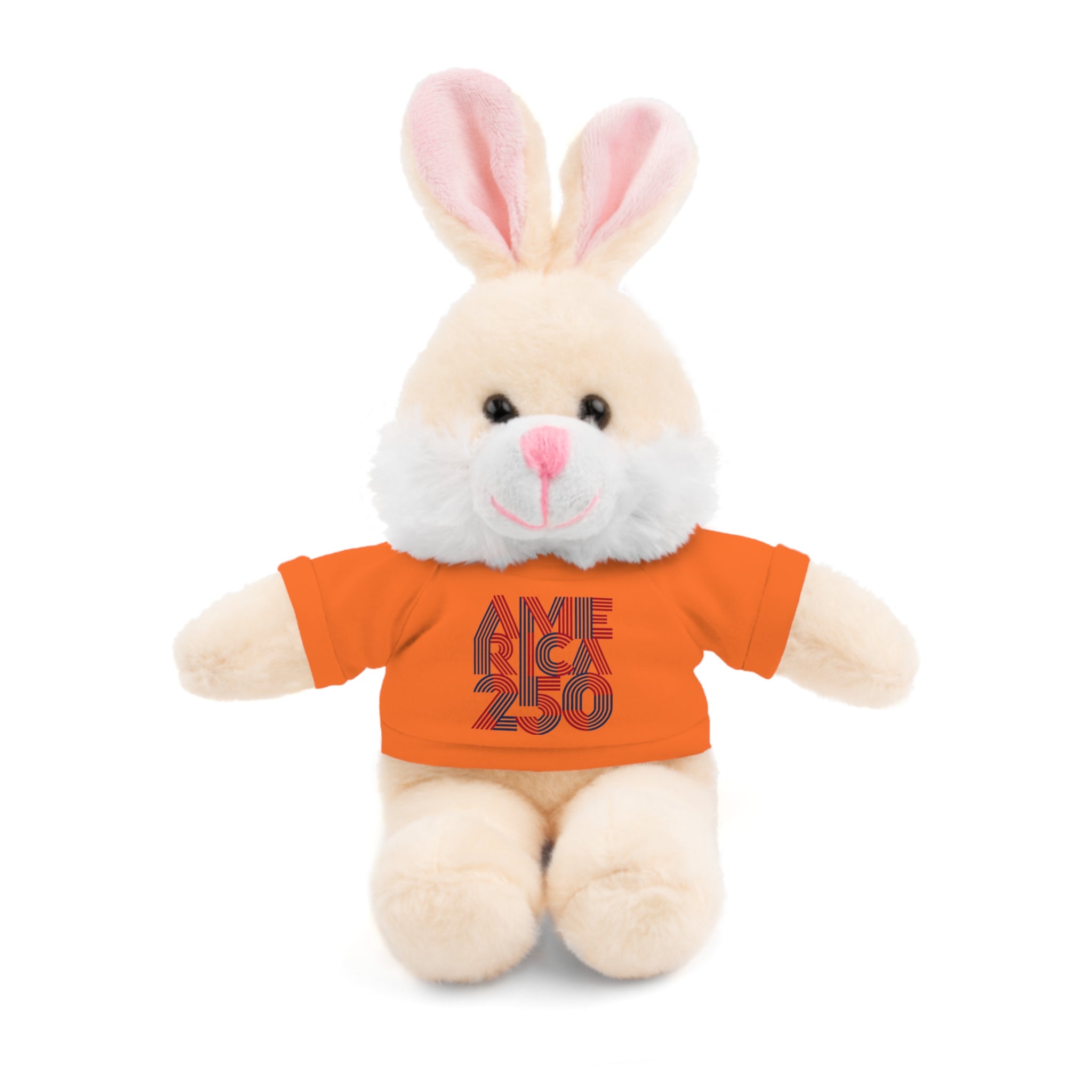 America 250 Teddy Bear plush | Patriotic stuffed animal with tee