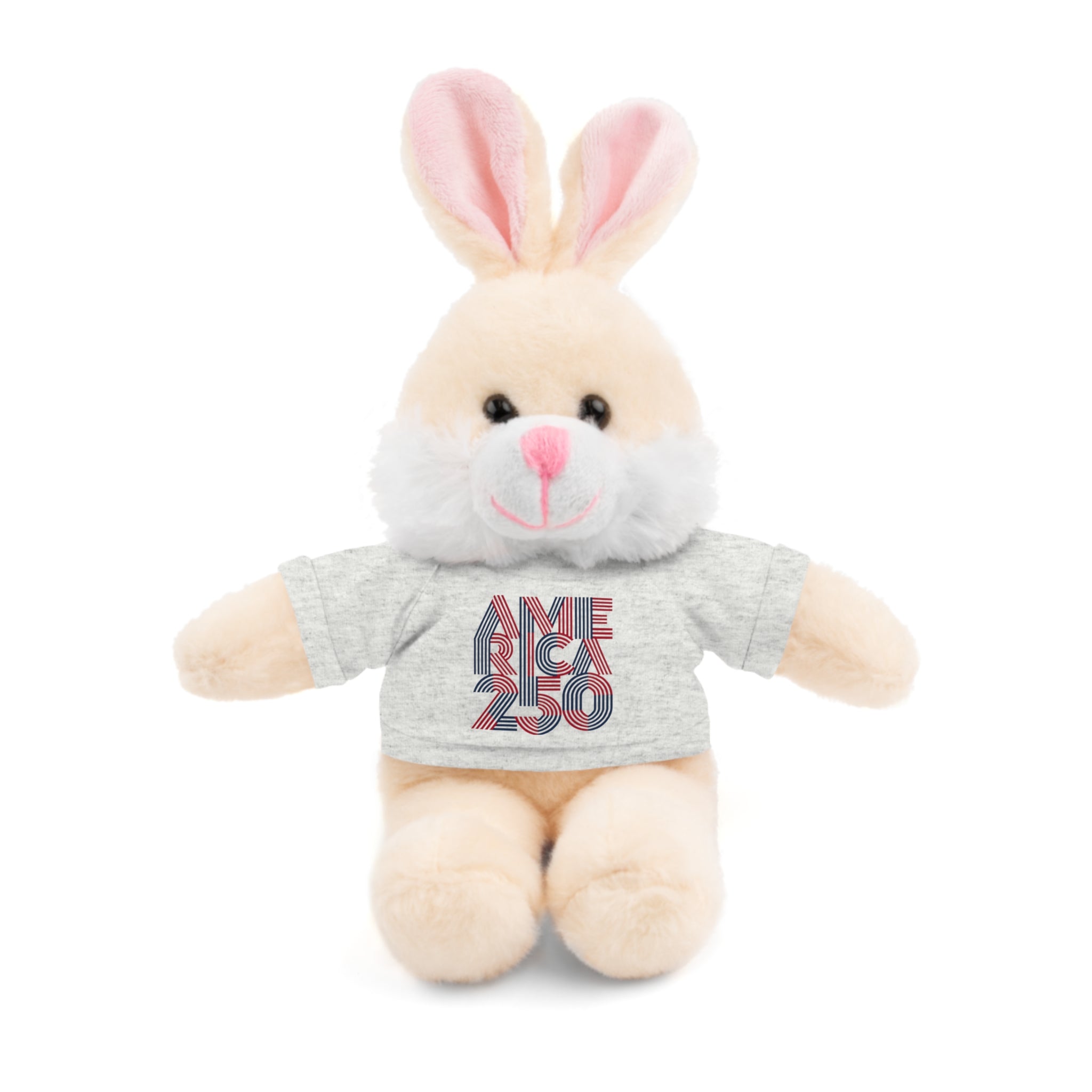 America 250 Teddy Bear plush | Patriotic stuffed animal with tee