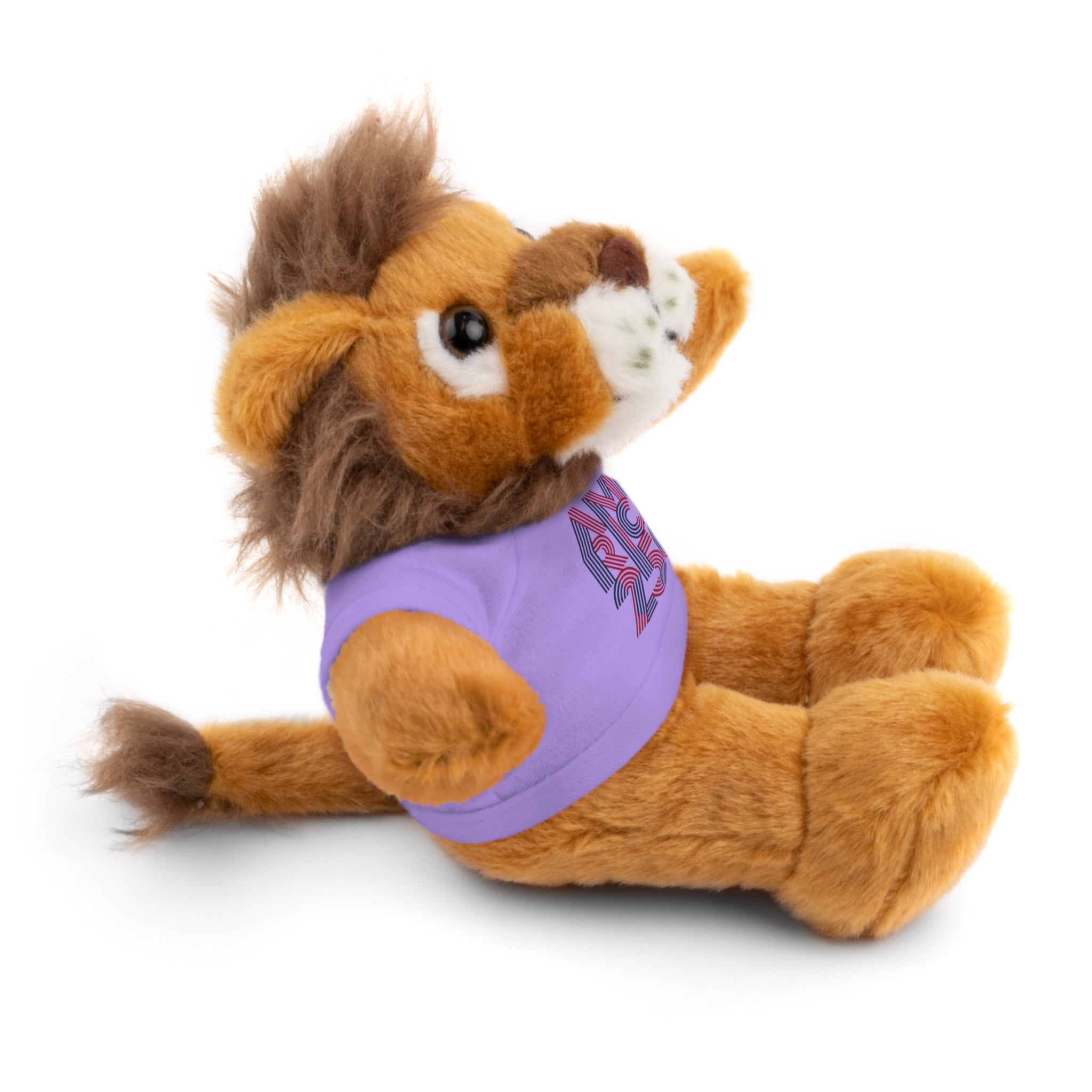 America 250 Teddy Bear plush | Patriotic stuffed animal with tee