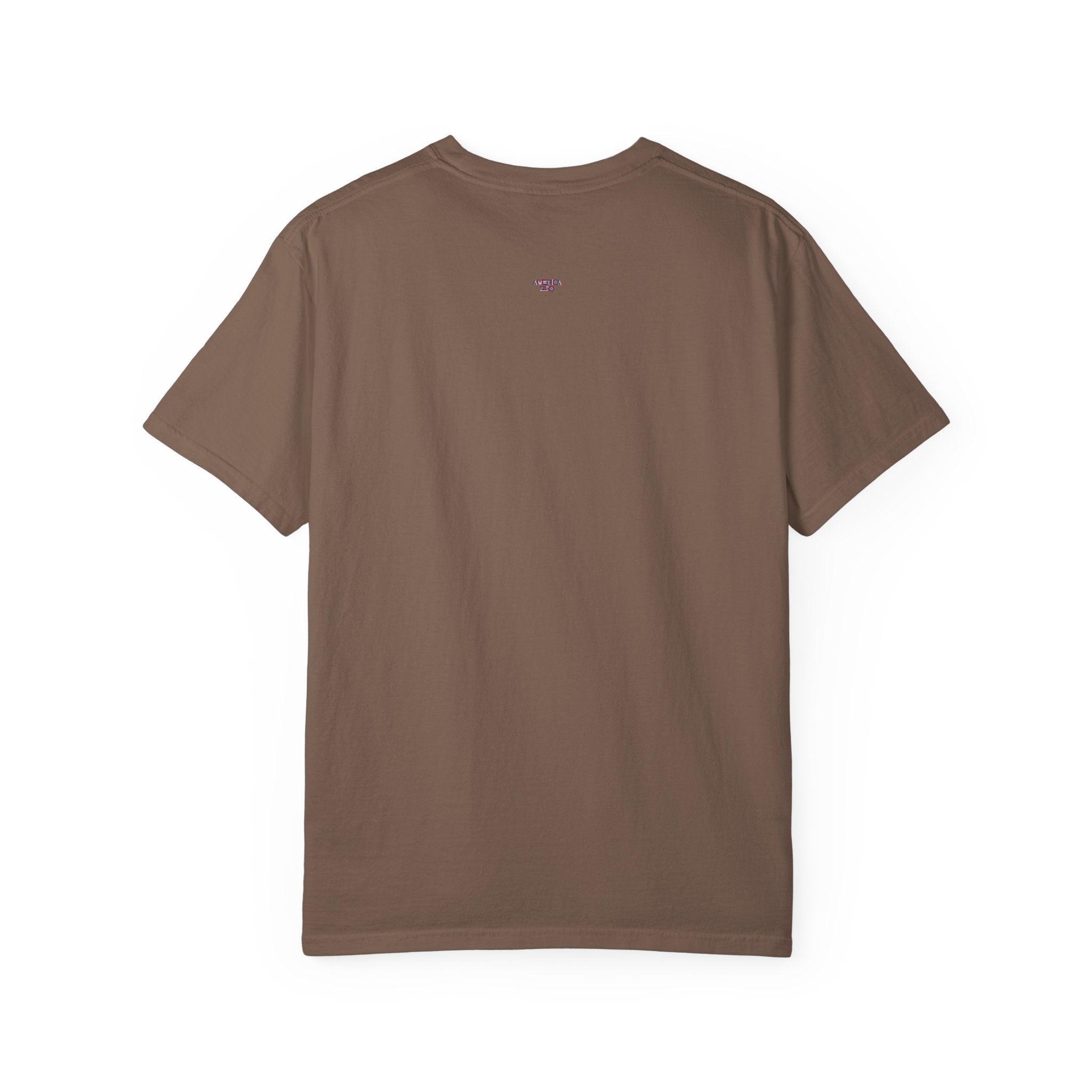 America 250 Unisex Garment-Dyed T-shirt
