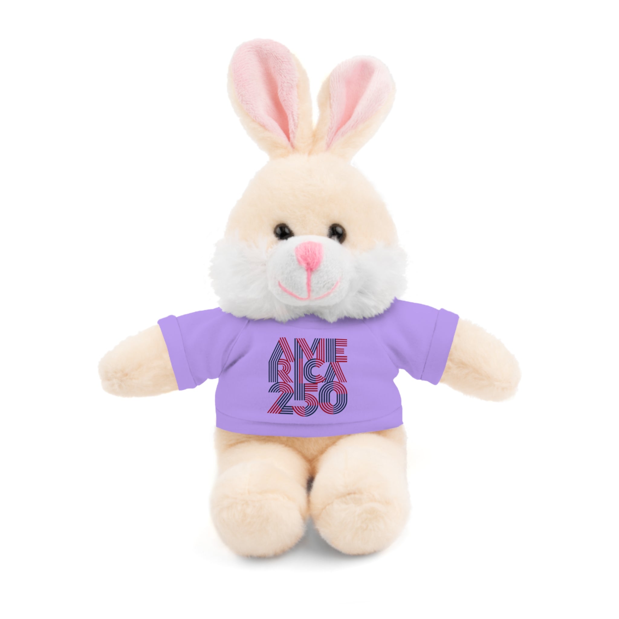 America 250 Teddy Bear plush | Patriotic stuffed animal with tee