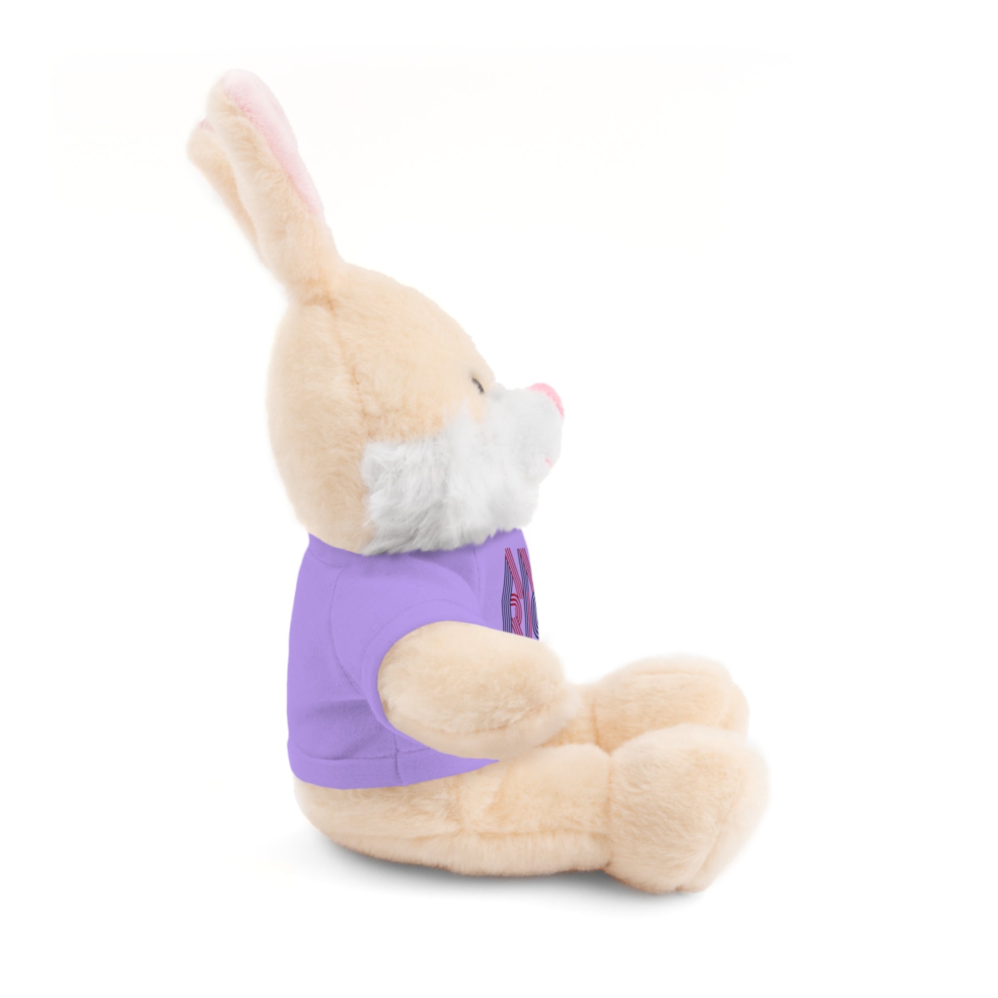 America 250 Teddy Bear plush | Patriotic stuffed animal with tee