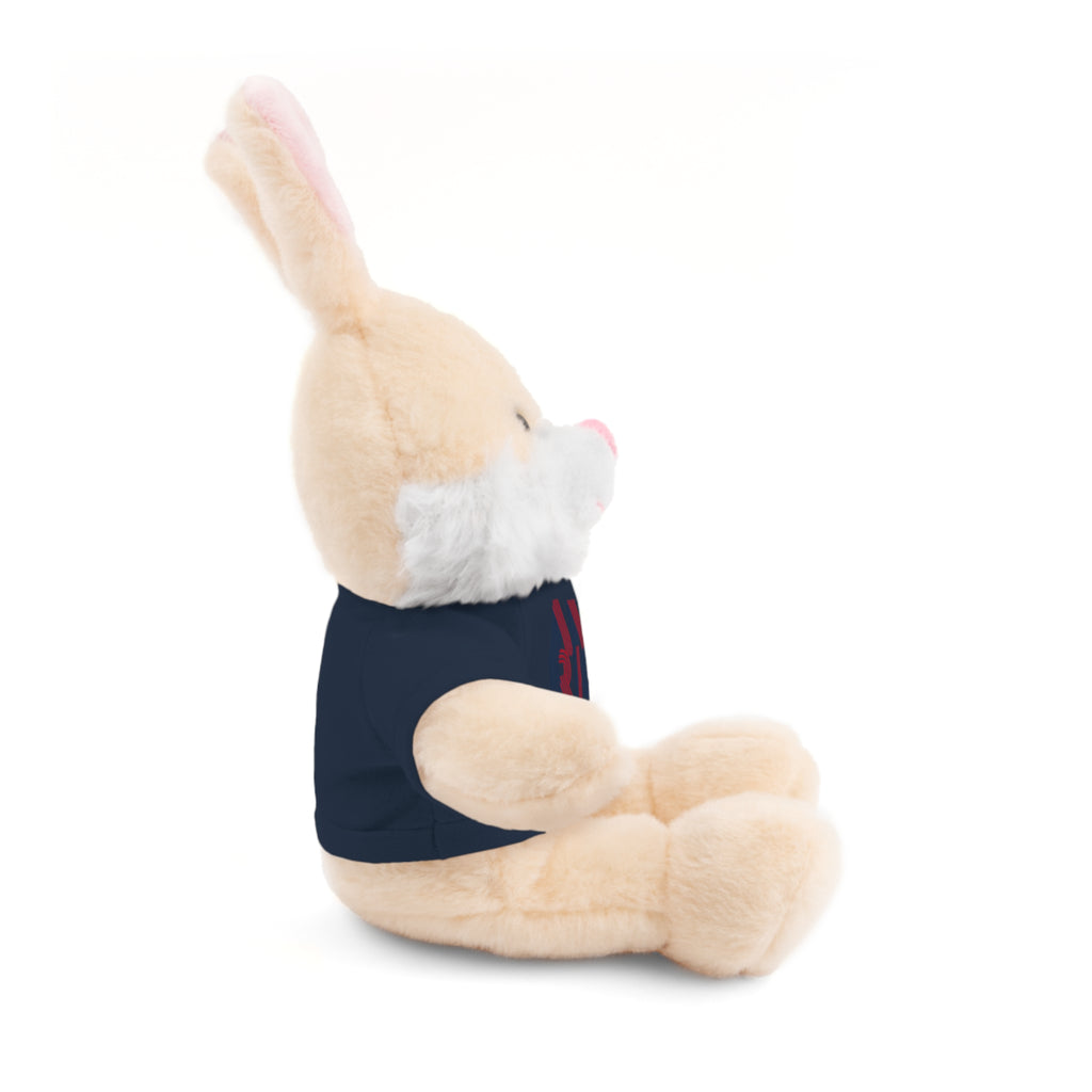 America 250 Teddy Bear plush | Patriotic stuffed animal with tee