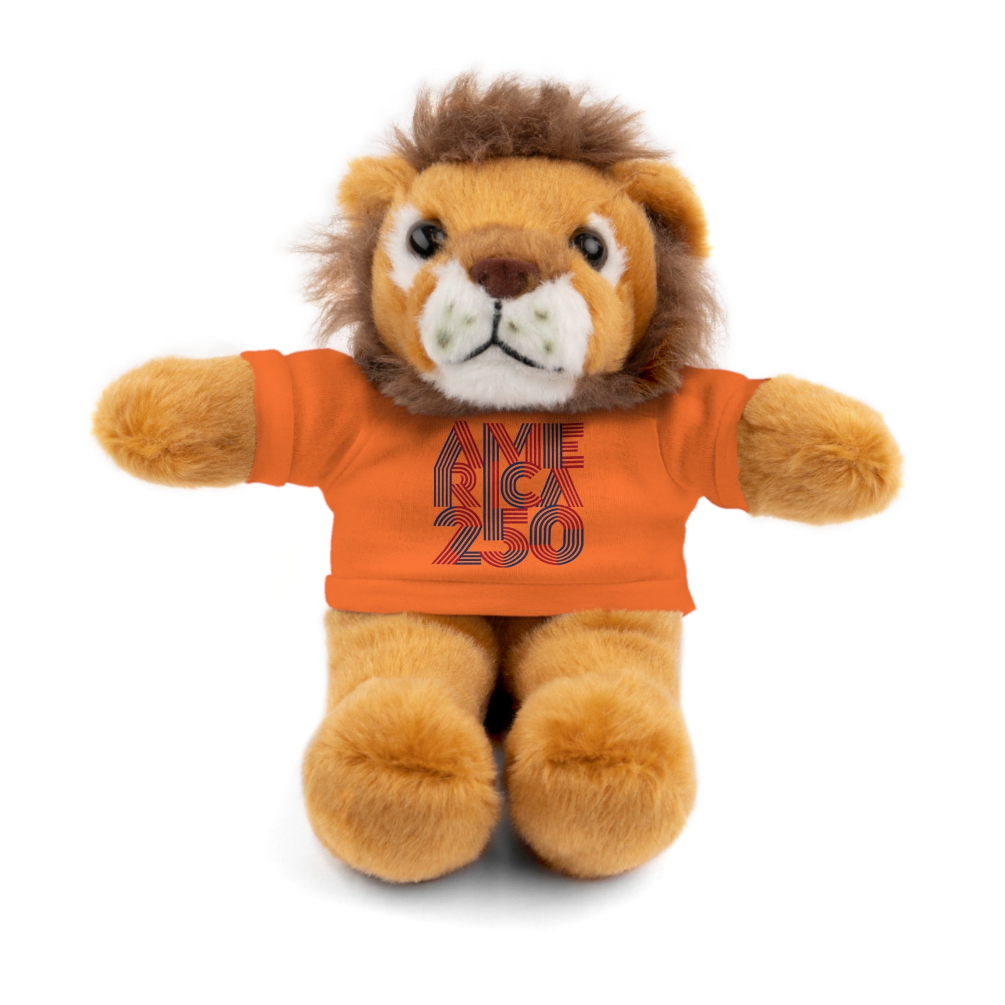 America 250 Teddy Bear plush | Patriotic stuffed animal with tee