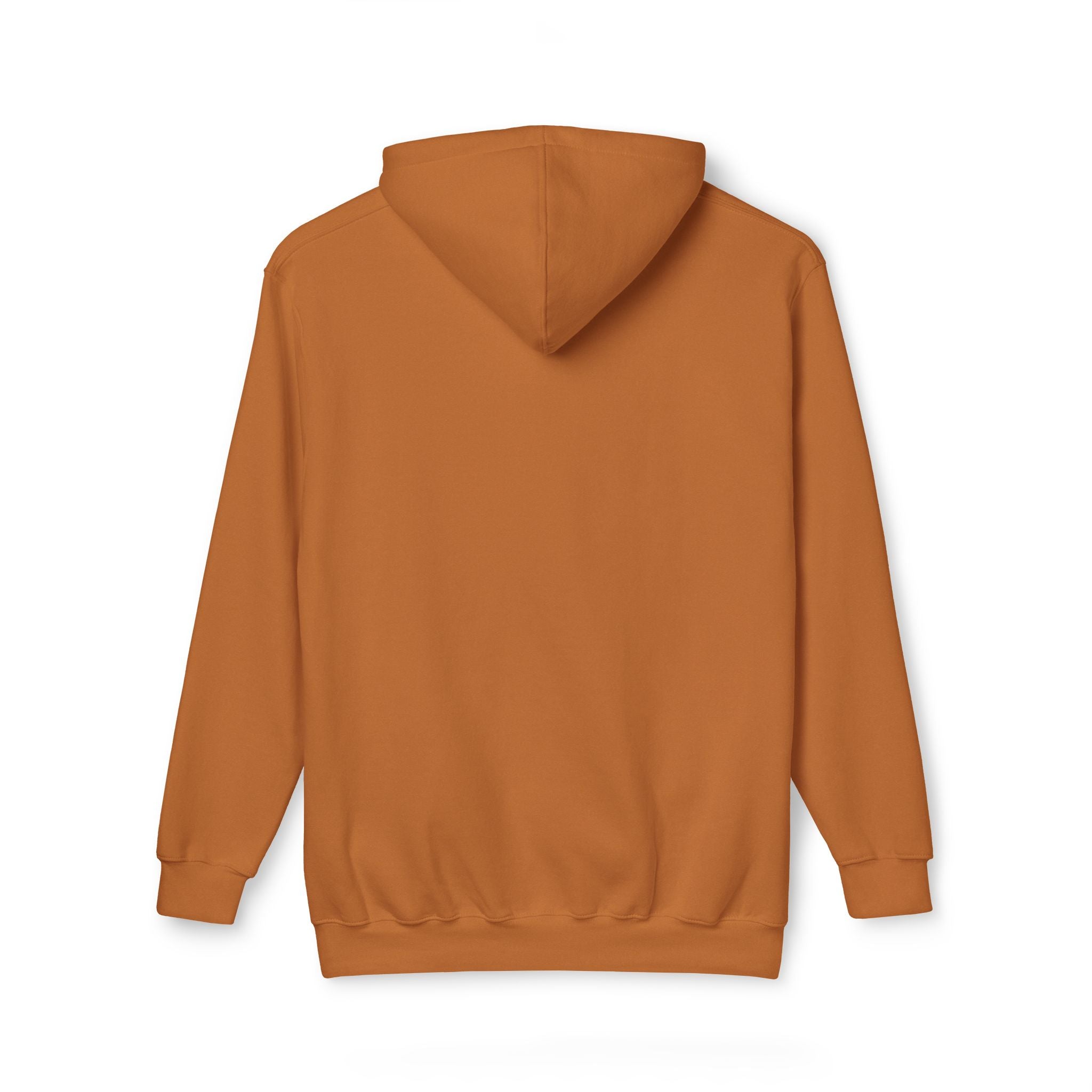 America 250 Quarter-Millennium Vintage Landscape Hoodie — Made in USA
