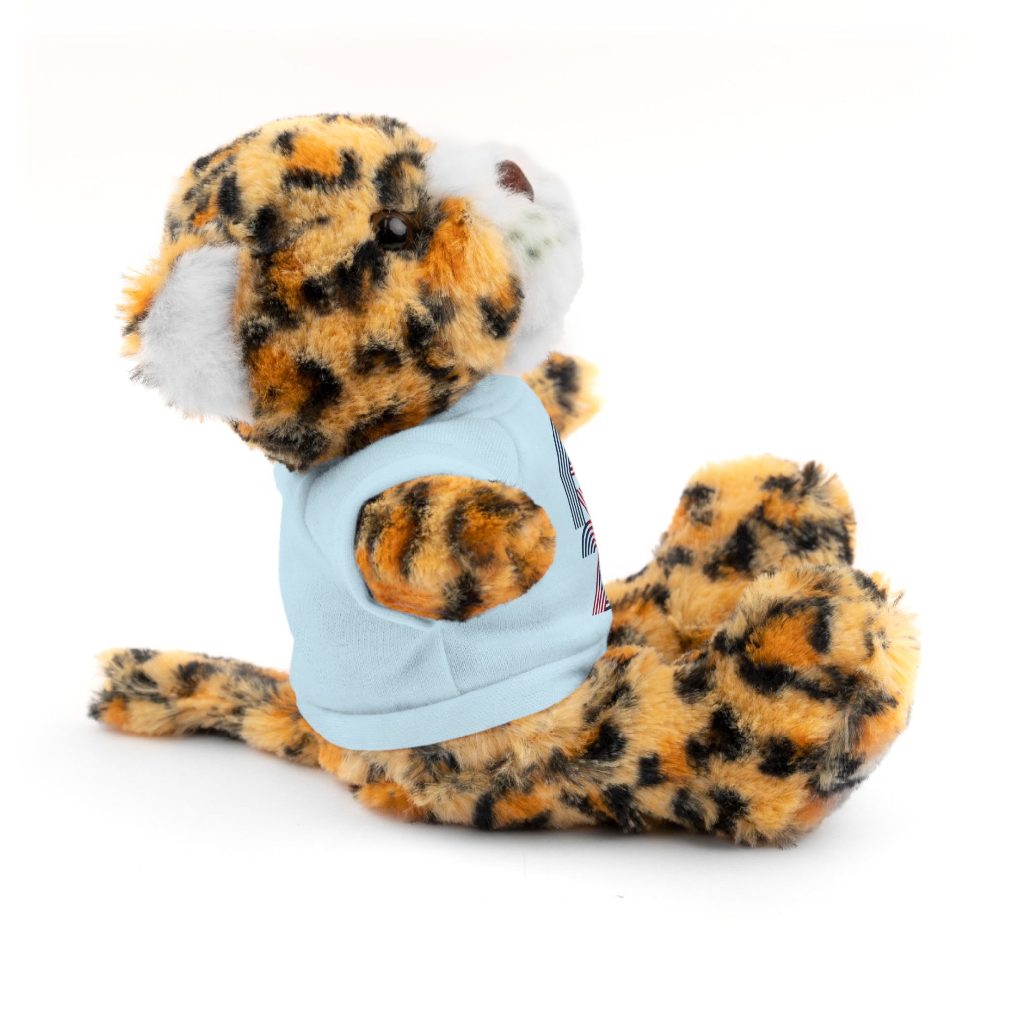 America 250 Teddy Bear plush | Patriotic stuffed animal with tee