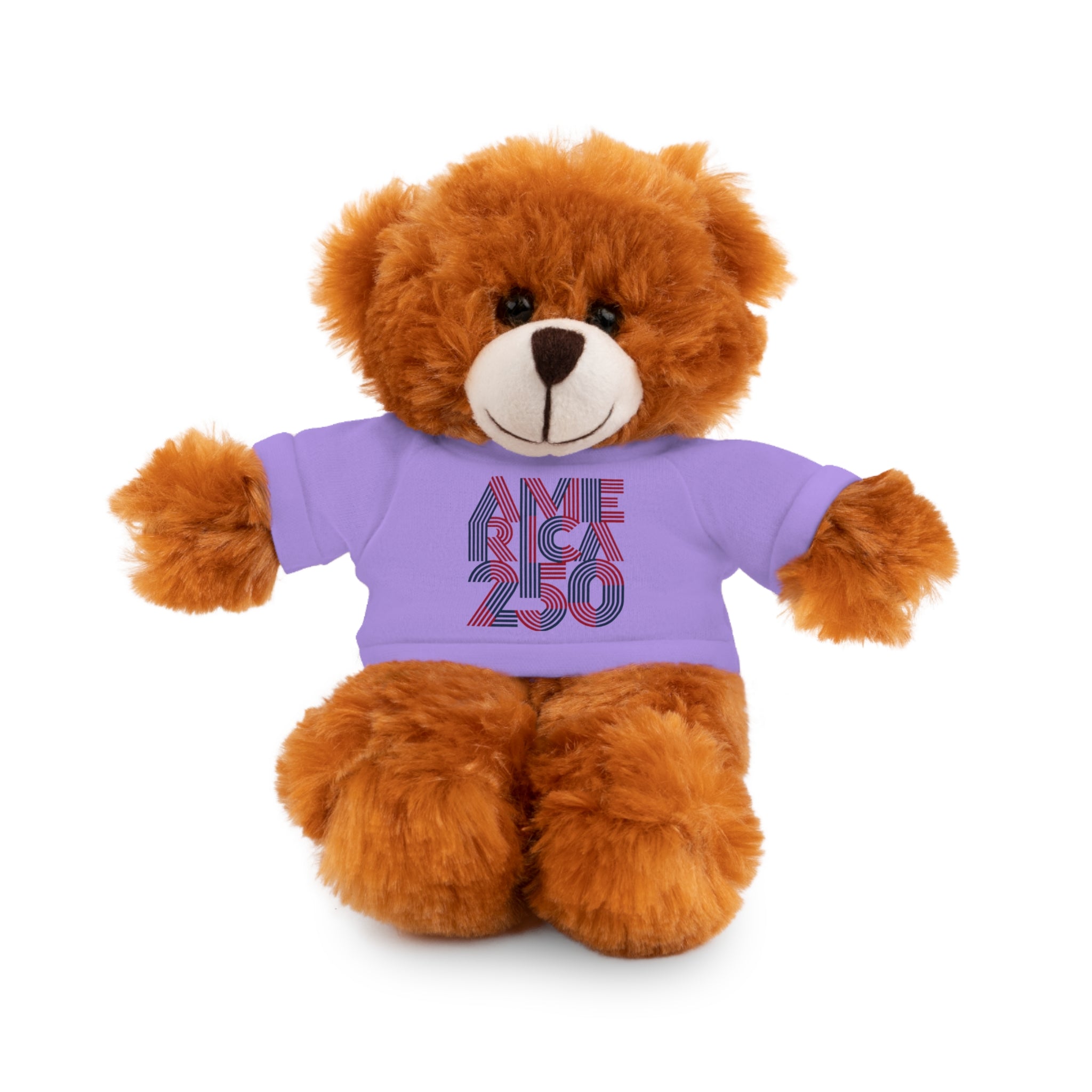 America 250 Teddy Bear plush | Patriotic stuffed animal with tee